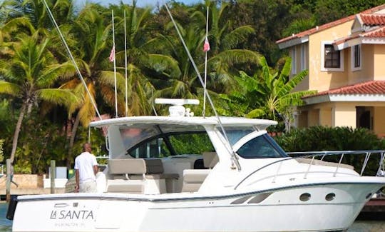 Saona or Catalina island  yacht