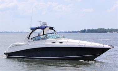 Sea Ray Sundancer 40' Motor Yacht Charter in Cancun
