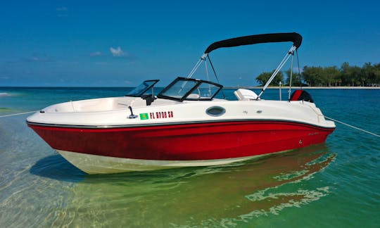 Beautiful Deck Boat to Explore, Swim, Tube and more in AMI!