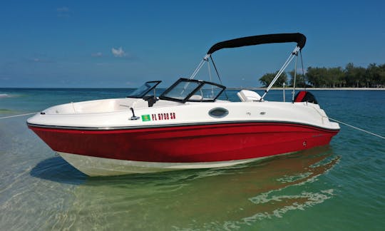 Beautiful Deck Boat to Explore, Swim, Tube and more in AMI!