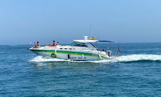 Sunseeker 39ft Fishing Boat in Marbella