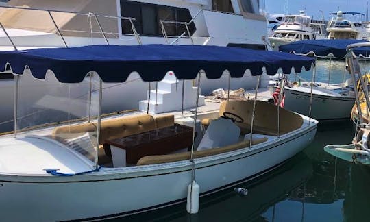 Duffy Electric Boat in Marina del Rey