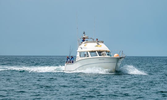 Rodman 1250 Motor Yacht Rental in El Puerto de Santa María, Andalusia.