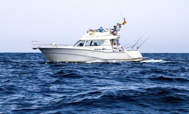 Rodman 1250 Motor Yacht Rental in El Puerto de Santa María, Andalucía.