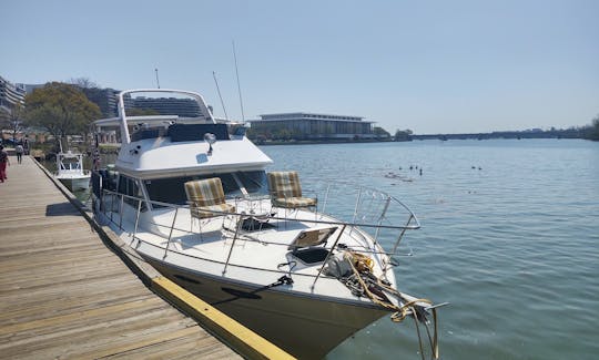 Sea Ray 36ft Motor Yacht Rental in Washington, District of Columbia