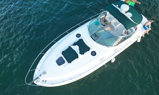 Sea Ray Sundancer 40ft Motor Yacht Rental in Miami Beach, Florida
