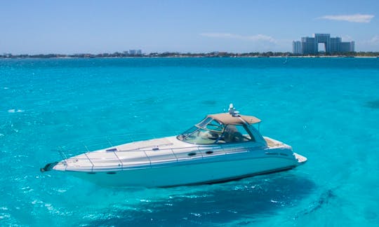 Manatee 44' Sea Ray Yacht for 12 pax in Cancún, Mexico