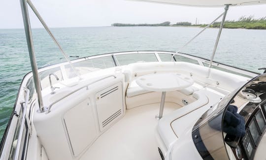 !!FUN IN THE SUN!! Miami Sea Ray Sedan Bridge Flybridge Motor Yacht