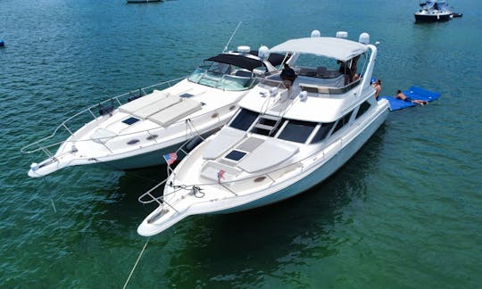 2 50ft Searay Motor Yacht package up to 26 people $650per hour in Miami, Florida