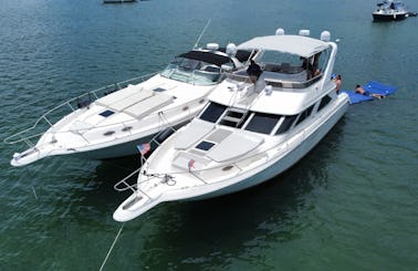 2 50ft Searay Motor Yacht package up to 26 people $600per hour in Miami,