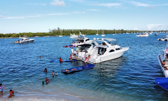 2 50ft Searay Motor Yacht package up to 26 people $600 per hour in Miami