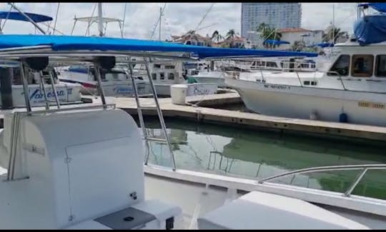 Islas Marietas Private Tour (Diving & Snorkeling) on a Center Console Boat!!