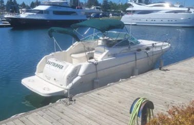 27ft Sea Ray Sundancer Motor Yacht with Captain in Toronto, Ontario