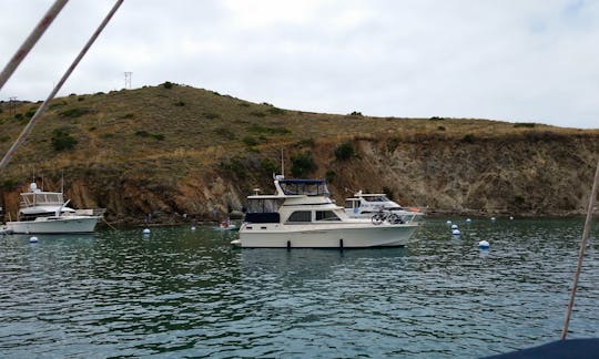 At the Island on a Mooring