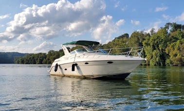 Magnifique bateau de croisière Regal Cruiser de 35 pieds avec tapis de bain