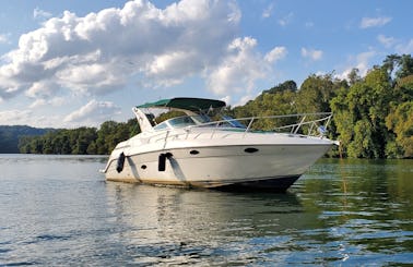 Beautiful 35ft Regal Sport Cruiser with Water Toys for rent in Washington, District of Columbia