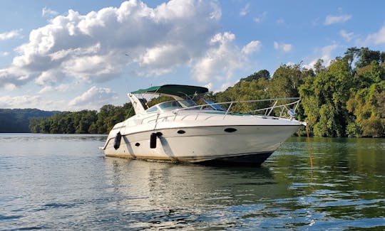 Beautiful 35ft Regal Cruiser with Swim pad