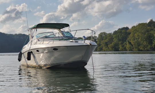 Beautiful 35ft Regal Cruiser with Swim pad