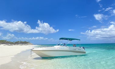 Bateau Hurricane Deck de 26 pieds pour une croisière Island Discovery 