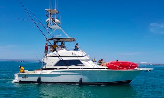 Taking Fishing and Cruising to the next level on the Sea of Cortez!