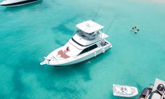 Maison de campagne « Mer du Sud » de 40 pieds, La Romana, République dominicaine