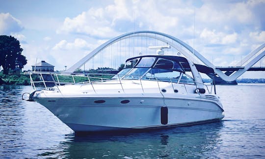 Escape the Ordinary! 42' Sea Ray Sundancer