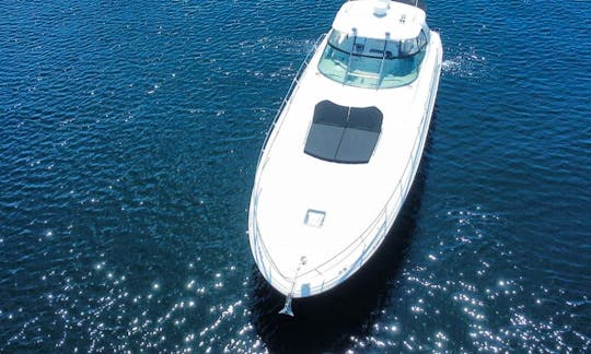 55' Sea Ray Luxury Affordable Motor Yacht Rental in Hallandale Beach, Florida