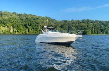 Wellcraft Martinique Motor Yacht Charter in Chester, Connecticut