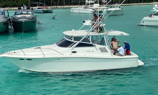 Sea Ray 35 pieds à Casa de Campo, La Romana, République dominicaine