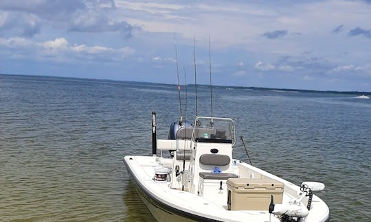 Private Fishing Trips and Boat Tours around Charleston, South Carolina
