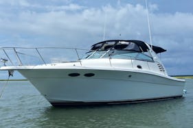 Luxury Sea Ray Express Cruiser Motor Yacht Charter in Mount Pleasant, SC