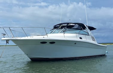 Luxury Sea Ray Express Cruiser Motor Yacht Charter in Mount Pleasant, South Carolina