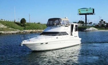 SeaRay 48 ft Luxury Yacht in Vancouver