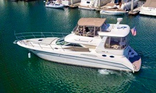 SeaRay 48 ft Luxury Yacht in Vancouver