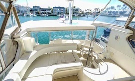 SeaRay Aft Cabin 48 ft Luxury Yacht in Vancouver