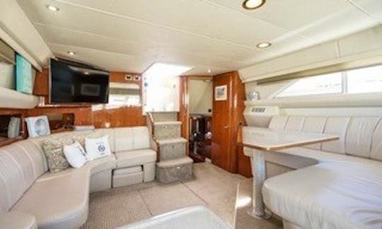 SeaRay Aft Cabin 48 ft Luxury Yacht in Vancouver