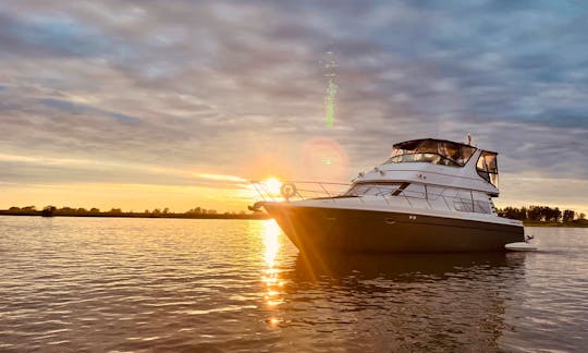 45ft Carver Voyager Yacht for up to 16 people in Boucherville