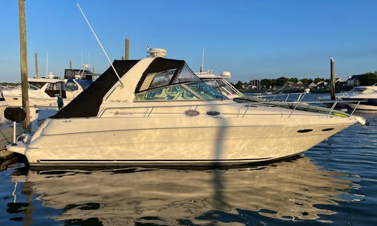 Enjoy the water with friends and family with Sea Ray 310 Sundancer Motor Yacht in Danvers, Massachusetts