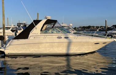 Sea Ray 310 (33ft) -Rental includes operator ***Book Now for Fall Cruise 