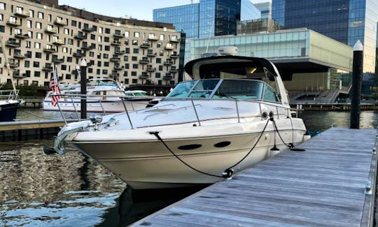 Sea Ray 310 (33ft) - Pricing Special for Holiday Weekend Cruise
