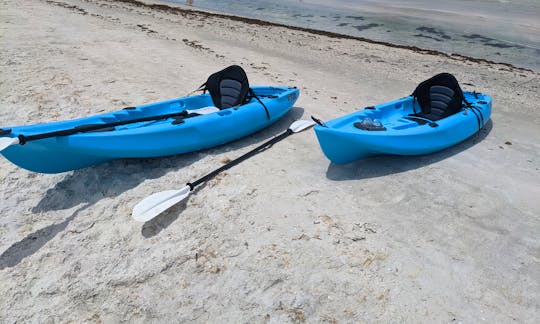 Kayak Rental at Clearwater, Indian Rocks, St Pete Beach