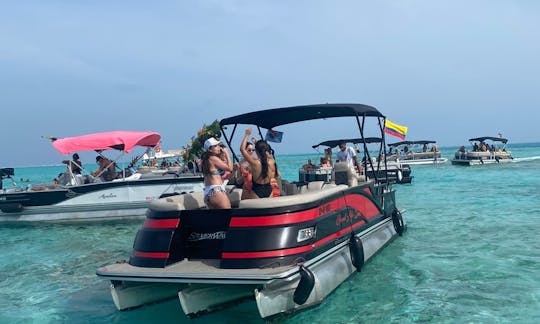 Luxury Pontoon for rent in San Andrés