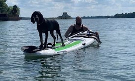 Sea Dolphin 11ft Paddleboard with Bluetooth Speaker!