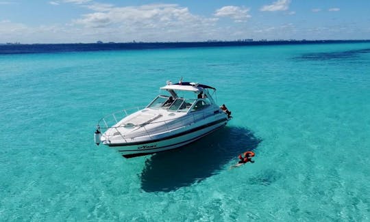 Comemore sua festa em um iate a motor Searay de 38 pés em Cancún, Quintana Roo