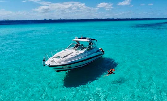 Celebrate Your Party on a 38ft Searay Motor Yacht in Cancún, Quintana Roo