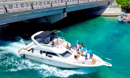 46ft Flybridge Searay Motor Yacht Rental in Cancún, super spacious 50LOA'