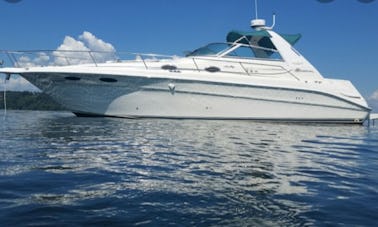 Sea Ray Sundancer Cruiser Yacht $200 an hour