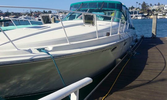 Catalina Island Charter On 42ft Bertram Trojan Motor Yacht