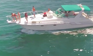 Visite touristique et excursion avec les dauphins à bord du yacht à moteur Bertram Express de 42 pieds à Los Angeles