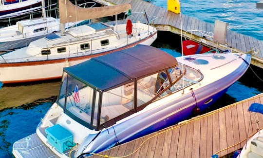 Beautiful Cobalt 33ft Perfect for a stroll on the water!!
